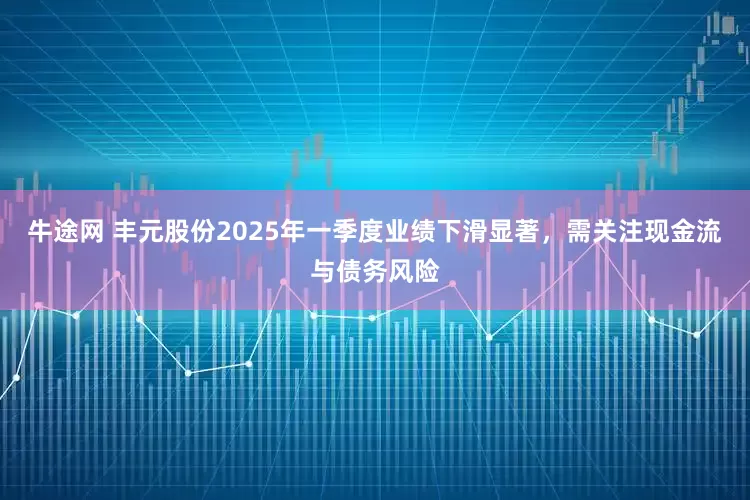 牛途网 丰元股份2025年一季度业绩下滑显著，需关注现金流与债务风险