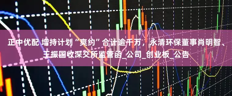 正中优配 增持计划“爽约”合计逾千万，永清环保董事肖明智、王振国收深交所监管函_公司_创业板_公告