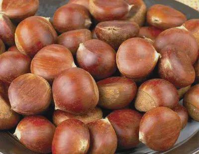 金领速配 十全补气食物