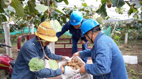 高升网 新华视点｜金秋九月话丰收 特色农业绘就乡村振兴新图景