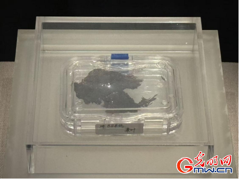 牛跟投 数智文遗陕西行丨从汉室陵阙看昔日文景盛世